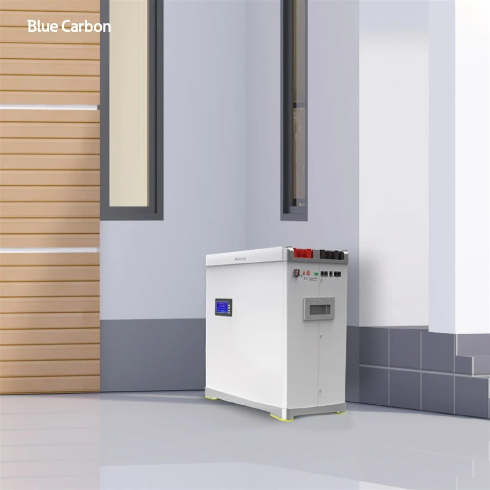 48 Volt 100Ah Lithium Ion Battery Pack 6000 Cycle Times PV Energy Storage System price