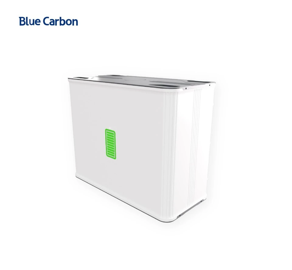 Blue Carbon 48V 100Ah Lithium Ion Battery Home Energy Storage System suppliers