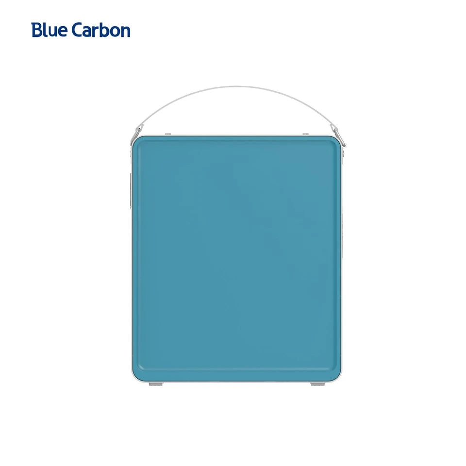 Blue Carbon Portable Lithium Power Station Household Multifunctional Energy Storage Battery Off-Grid Power Solution suppliers